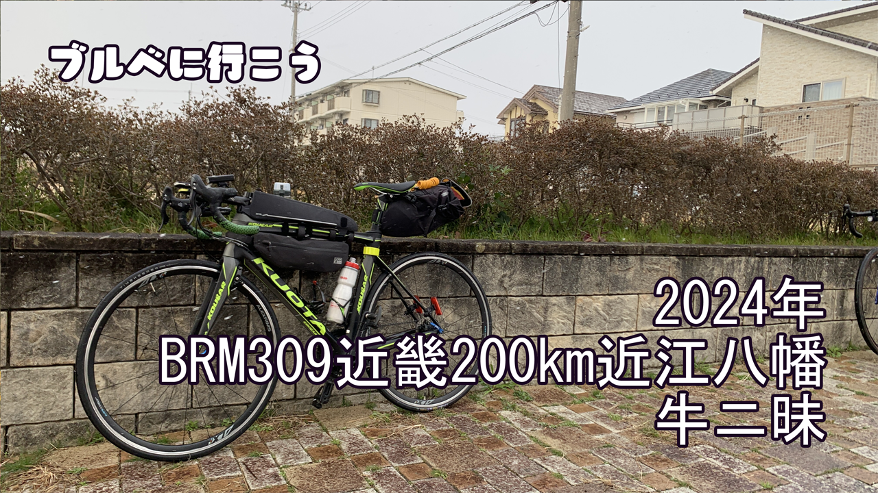 BRM309近畿200km近江八幡_タイトル