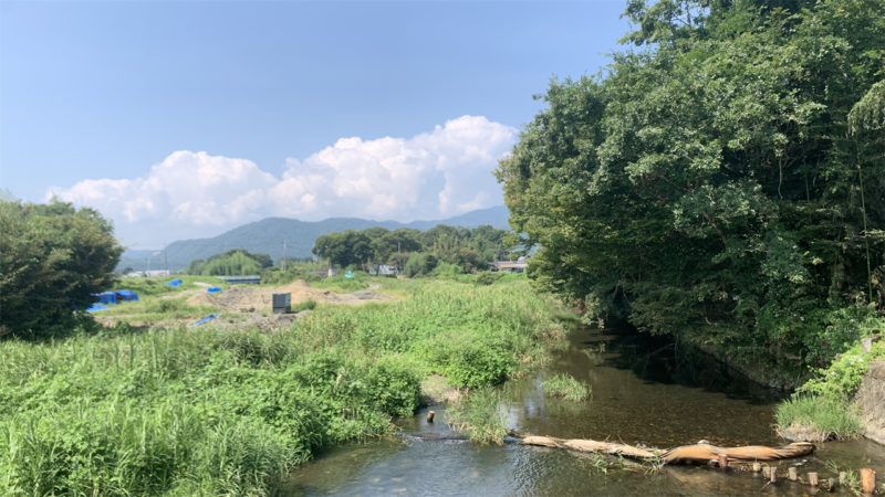 20240907BRM907大津200km_高島市今津町付近2