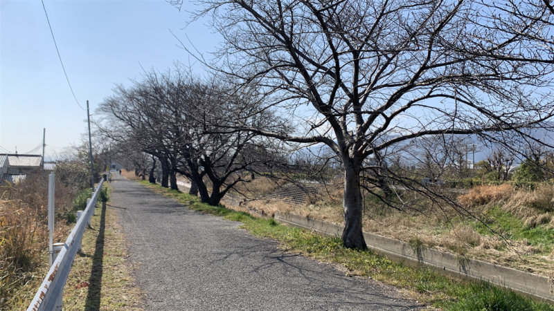 20250301酪農カフェ酪_葛城川沿い