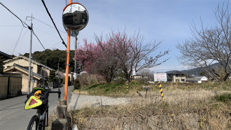 20250308ぐるっと奈良_巻向駅に向かう途中