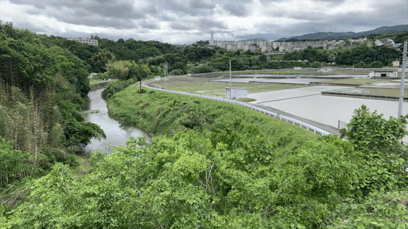 20250524ダムパーク茨木へ_長ヶ橋北詰付近から