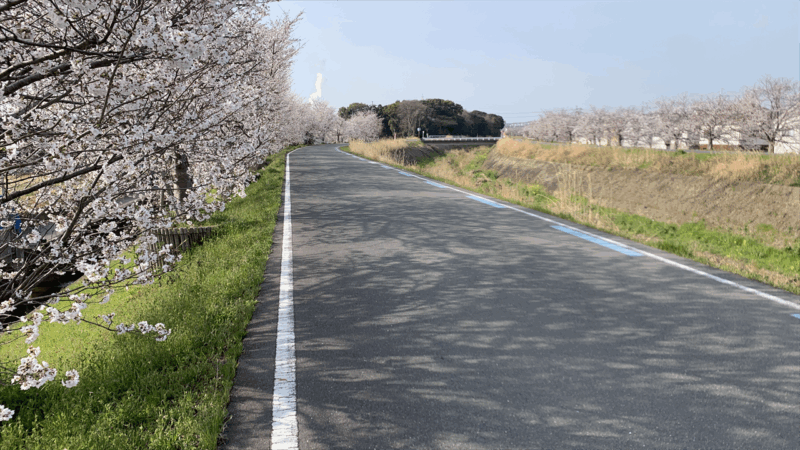 20250405桃源郷HM前泊地へ_山松川の桜2