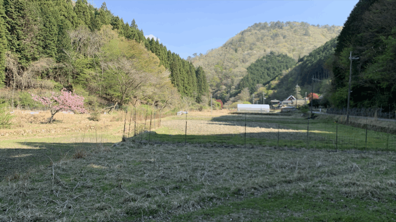 20250426自信を取り戻せ_籠坊温泉線