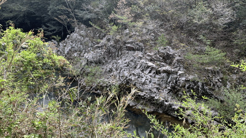 20250419闘龍灘を見に行く_東条川3
