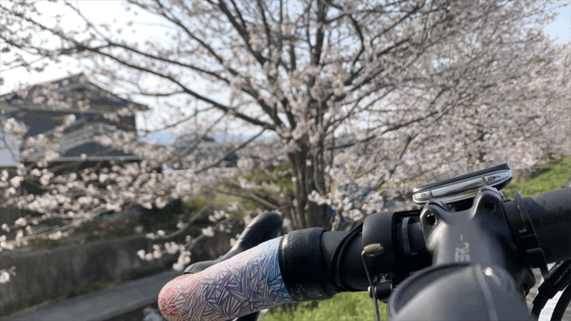 20250405桃源郷HM前泊地へ_山松川の桜
