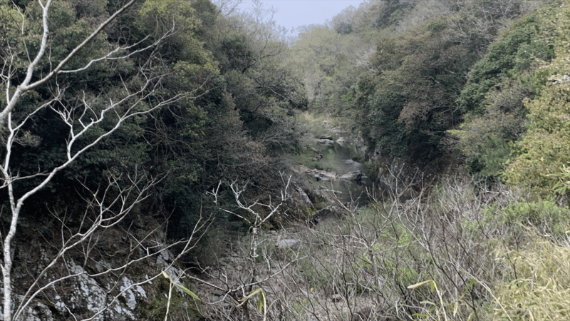 20250419闘龍灘を見に行く_東条川5