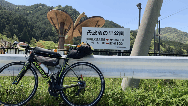 20250426自信を取り戻せ_丹波竜の里公園