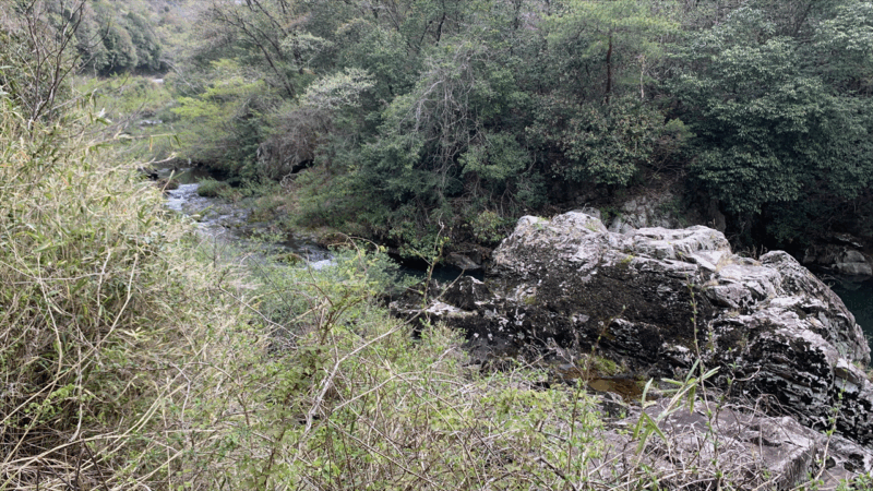 20250419闘龍灘を見に行く_東条川4