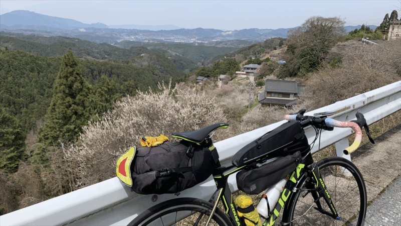 20250405桃源郷HM前泊地へ_広橋梅林駐車場付近