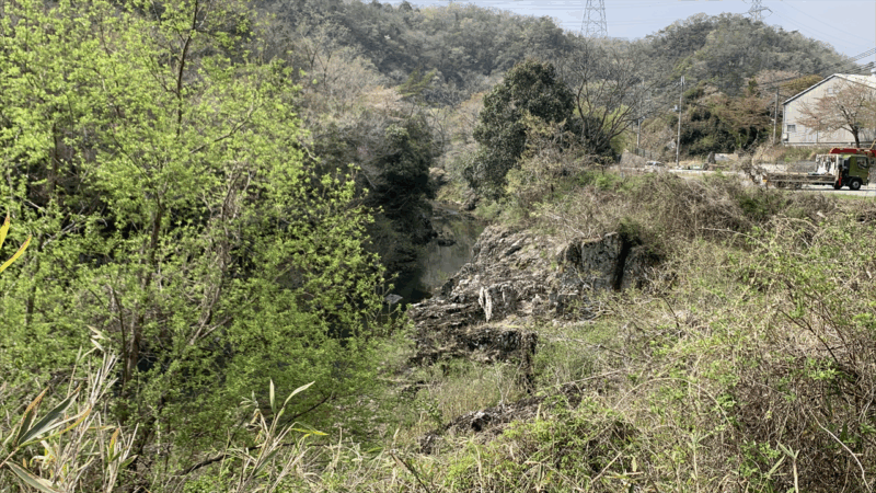 20250419闘龍灘を見に行く_東条川2