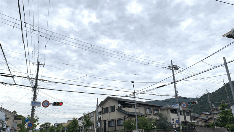 20250607ビワイチ2025年6月_醍醐京道