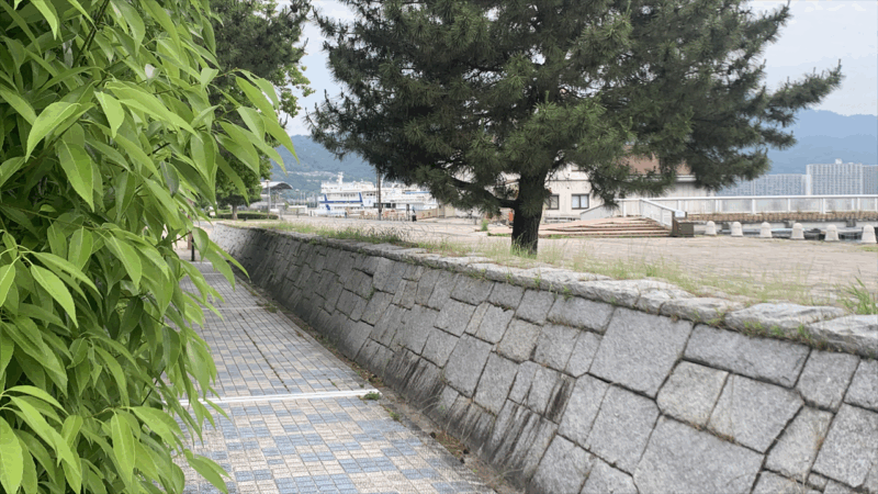 20250607ビワイチ2025年6月_なぎさ公園