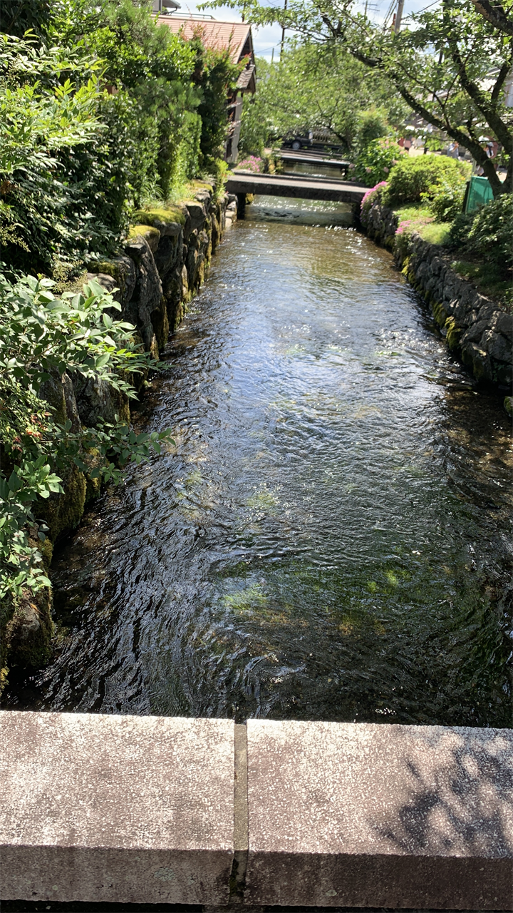 20250719関ケ原鍾乳洞へ_醒ヶ井宿の水路2