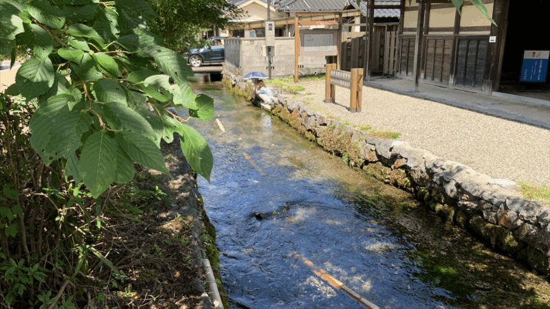 20250719関ケ原鍾乳洞へ_醒ヶ井宿の水路