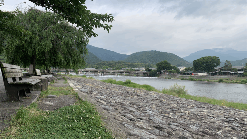 20250622嵐山へ_遠く見える渡月橋