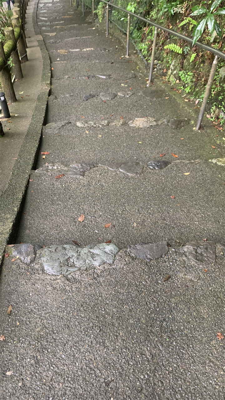 20250914パン屋シャンポールへ_箕面大滝へ下る道