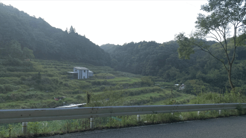 20250830勝尾寺_府道43号線