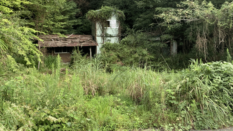 20250915シャルドンへ_竜王山荘付近