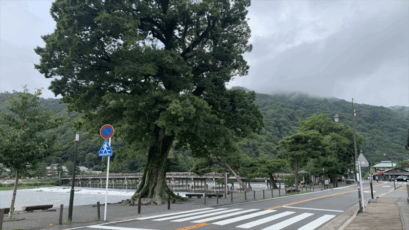 20250913長岡天満宮他_振り返って渡月橋